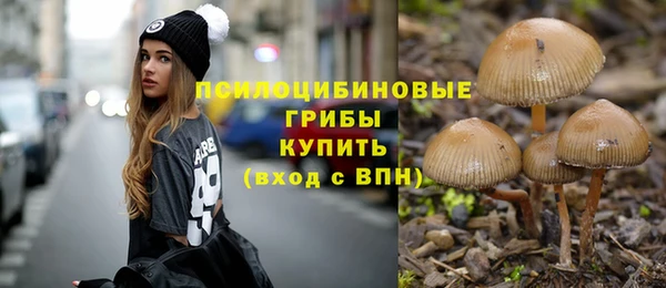 мескалин Гусиноозёрск