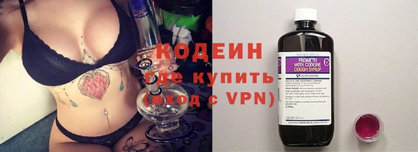 первитин Гусев