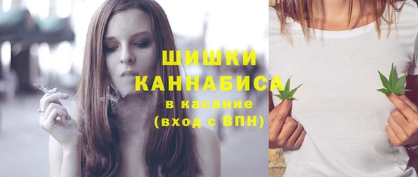 первитин Гусев