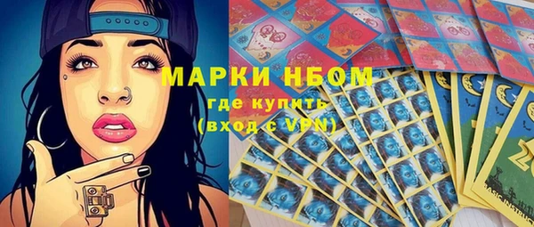 первитин Гусев