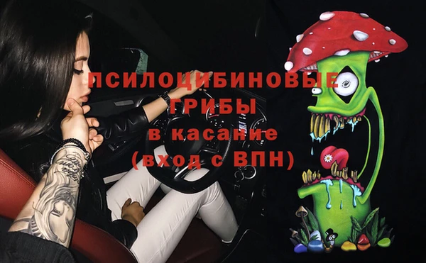 первитин Гусев