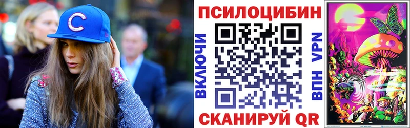 Купить закладки  Кировск  Псилоцибиновые грибы мицелий 